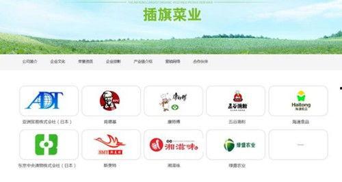 插旗菜业爆料新闻最新消息,揭秘行业黑幕，真相令人震惊！